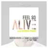 Feel so Alive (Remode) [feat. Danny Dullmaier] - Single album lyrics, reviews, download