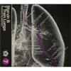 7 Train Lungs album lyrics, reviews, download