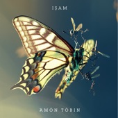 Amon Tobin - Wooden Toy