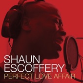 Perfect Love Affair (Radio Version) artwork