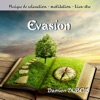 Evasion