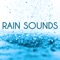 Soothing Massage Rain - Nature Sounds lyrics