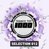 Trance Top 1000 Selection, Vol. 12, 2015