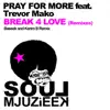 Break 4 Love (Remixes) [feat. Trevor Mako] - Single album lyrics, reviews, download