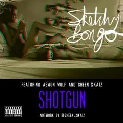 Shotgun (feat. Aewon Wolf & Sheen Skaiz) - Single by Sketchy Bongo album reviews, ratings, credits