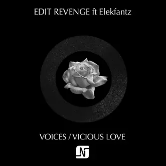 Vicious Love by Edit Revenge song reviws