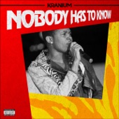 Nobody Has to Know - Single