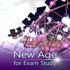 New Age for Exam Study – The Best Study Music for Concentration, Brain Power, Reduce Stress, Smart Learning, Workout Mind by Study Music Guys album reviews, ratings, credits