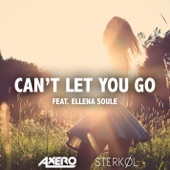Can't Let You Go (ft. Ellena Soule) artwork