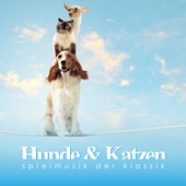 Hunde & Katzen Spielmusik der Klassik artwork