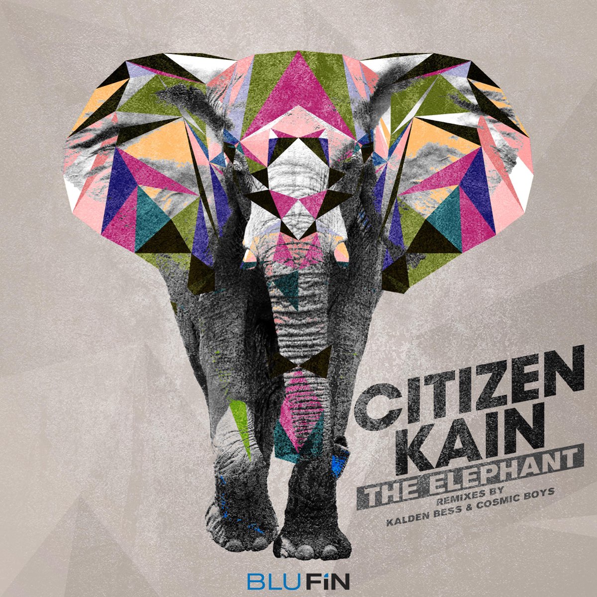 Elephant on the album Cover. Kalden. BLUFIN. Элефант ремикс слушать. Elephant remix
