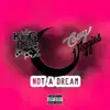 Not a Dream (feat. Casey Veggies) - Single album lyrics, reviews, download