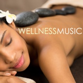 Wellness Music with Nature Sounds - Underground Tracks for Spa Relaxation artwork