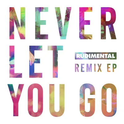 Never Let You Go (feat. Foy Vance) [Remixes] - EP - Rudimental