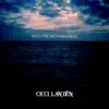 Into the Nothingness - Single album lyrics, reviews, download