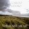 You Raise Me Up - Riccardo Polidoro lyrics