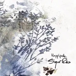 Hoppípolla - Single - Sigur Ros