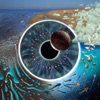 Eclipse by Pink Floyd iTunes Track 3