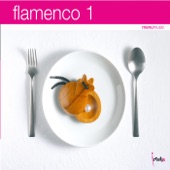Flamenco 1 artwork