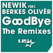 Goodbye (feat. Berkes Olivér) [Dirtydisco Remix] artwork