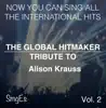 The Global HitMakers: Alison Krauss, Vol. 2 (Karaoke Version) album lyrics, reviews, download