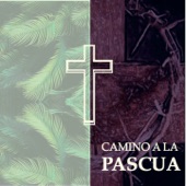 Santo, Pt. 2 (feat. Joselo Cardozo) [Plegaria Eucarística] artwork