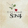 Te Voy a Amar (Salsa Version) - Single