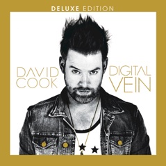 Digital Vein (Deluxe Version)