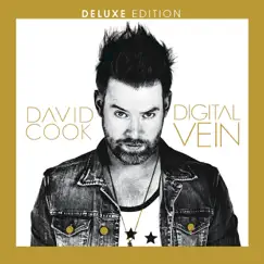 Digital Vein (Deluxe Version) by David Cook album reviews, ratings, credits