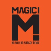 No Way No (feat. Shaggy) [Native Wayne Jobson and Barry O'Hare Remix] artwork