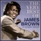 James Brown - The Payback / It's Too Funky In Here
