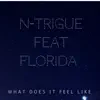 What Does It Feel Like (feat. Flo Rida) [Remixes] - Single album lyrics, reviews, download