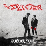 The Selecter - Because the Night