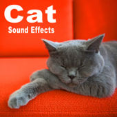 Cat Sound Effects - The Hollywood Edge Sound Effects Library