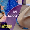 Mi Tesoro