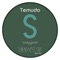 S - Temudo lyrics