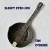 Stream & download Sleepy Eyed Joe - Single