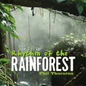 Rhythm of the Rainforest artwork