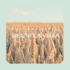 Siente la Vibra (feat. Morris) - Single
