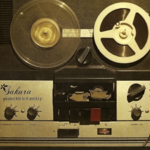 Greatest Hits Lo-Fi and D.I.Y.