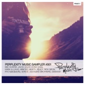 Perplexity Music Sampler #001 artwork