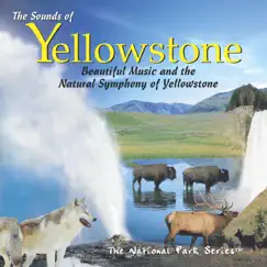 Yellowstone Song Lyrics