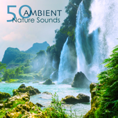 50 Ambient Nature Sounds - Relaxing Natural Music with Sounds of Nature of Mother Earth for Complete Ease, Sleep and Relax - Nature Ambience