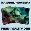Field Reality Dub, 2015
