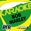 Zoom Karaoke - Bob Marley - Zoom Karaoke
