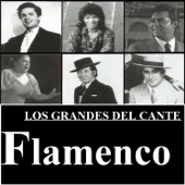 Los Grandes del Cante Flamenco artwork