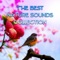 Singing Birds (Mother Nature) - Nature Collection lyrics