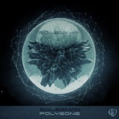 Polygone artwork