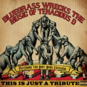 This Is Just a Tribute: Bluegrass Wrecks the Music of Tenacious D (feat. Dustbowl Cavaliers) artwork