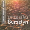 Formacja Nieżywych Schabuff - Bursztyn